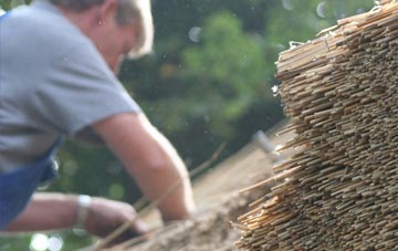 professional Red Scar thatchers