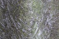 Red Scar fibreglass roof work